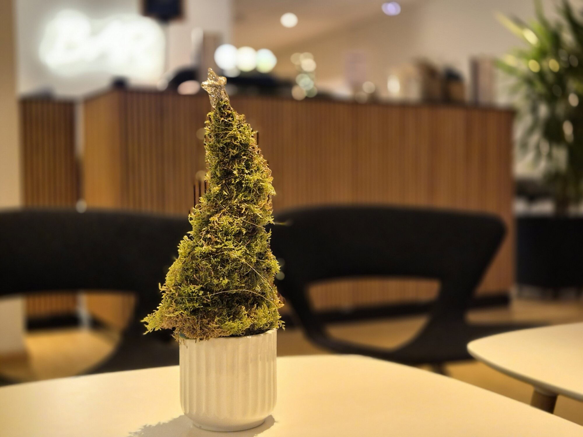 Julefrokost på Severin Kursuscenter og Hotel i Middelfart på FynJulefrokost på Severin Kursuscenter og Hotel i Middelfart på Fyn